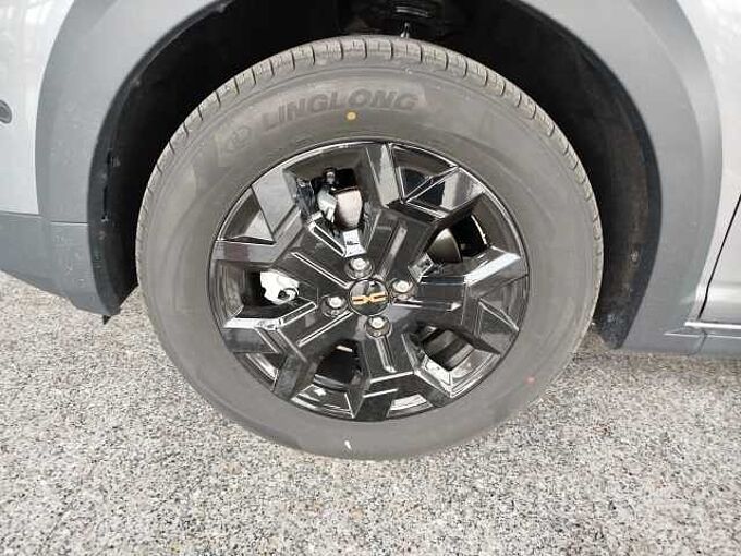 Dacia Sandero Stepway Extreme Eco-G 120 Auto Winter/Technik/Driving