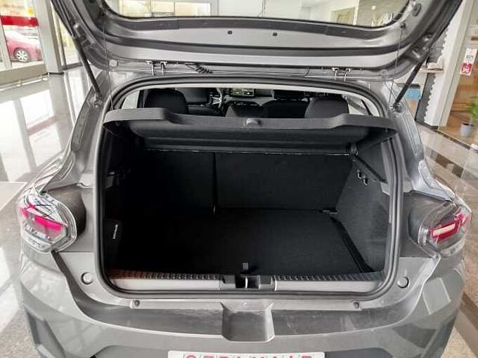 Dacia Sandero Stepway Extreme Eco-G 120 Auto Winter/Technik/Driving