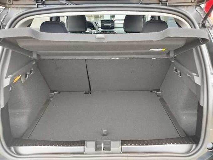 Dacia Sandero Stepway Extreme TCe 110 WINTERPAKET/KAMERA/PDC