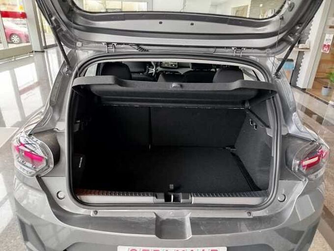 Dacia Sandero Stepway Extreme Eco-G 120 auto Winter/Technik/Driving
