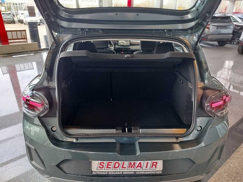 Dacia Sandero Stepway Extreme TCe110 WINTER/TECHNIK/DRIVING