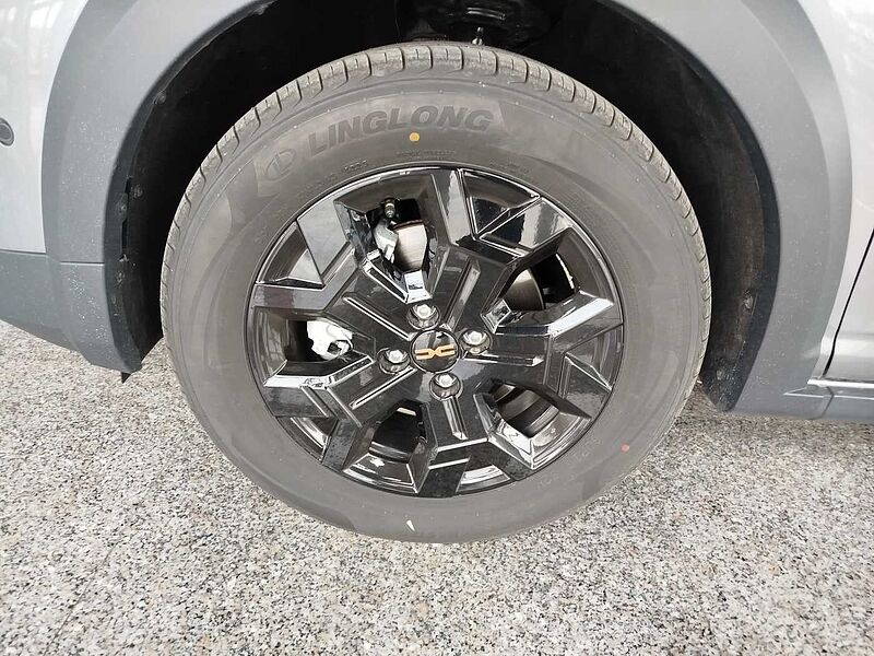 Dacia Sandero Stepway Extreme Eco-G 120 Auto Winter/Technik/Driving