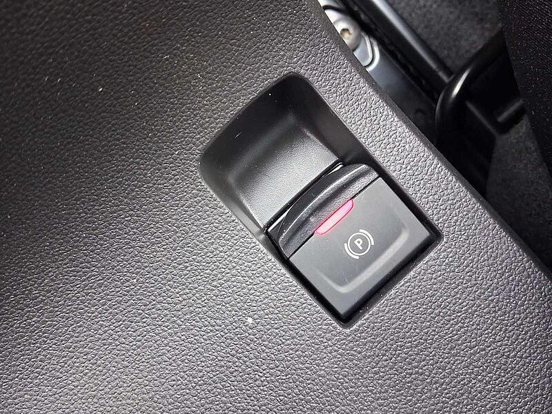 Dacia Sandero Stepway Extreme TCe110 WINTER/TECHNIK/DRIVING