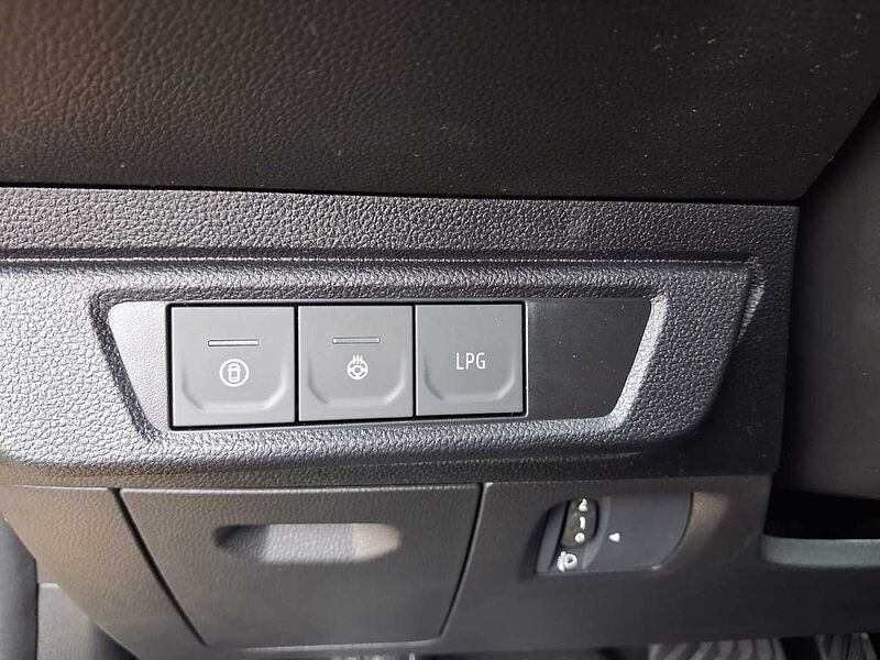 Dacia Sandero Stepway Extreme Eco-G 120 Automatik/Winterpaket/Drivingpaket