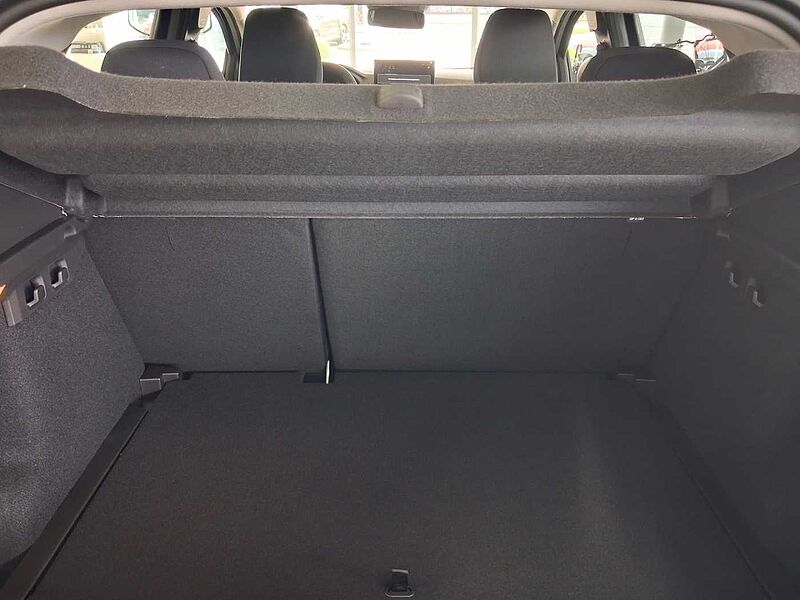 Dacia Sandero Stepway Extreme TCe120 Eco-G Automatik/AHK/Winter/Technik/Drivingpaket